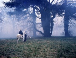 Il paesaggio padano